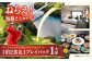 観光 旅行 体験 券 ゴルフ ゴルフプレー券 利用券 宿泊 1泊2食 リゾート 長崎 チケット 九州 ゴルフ利用券