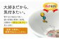 猫 CAT ごはん フード 水 ウォーター ボウル 健康 観察 波佐見焼 愛猫 ケア ペット エサ 器 食器 ネコ 皿