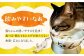 猫 CAT ごはん フード 水 ウォーター ボウル 健康 観察 波佐見焼 愛猫 ケア ペット エサ 器 食器 ネコ 皿