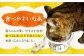 猫 CAT ごはん フード ボウル 健康 観察 波佐見焼 愛猫 ケア ペット エサ 器 食器 ネコ 皿 猫用食器 