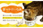 猫 CAT ごはん フード ボウル 健康 観察 波佐見焼 愛猫 ケア ペット エサ 器 食器 ネコ 皿 猫用食器 餌入れ