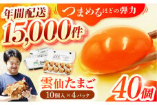 雲仙たまご 40個(10個入り×4パック) 長崎県/塚ちゃん雲仙たまご村 [42ACAE001] 卵 玉子 タマゴ 鶏卵 長崎 島原 熨斗 のし ギフト 小分け 