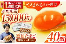 【卵 スピード発送】雲仙たまご 40個(10個入り×4パック) 長崎県/塚ちゃん雲仙たまご村 [42ACAE001] 玉子 タマゴ 鶏卵 長崎 島原 熨斗 のし ギフト 小分け 最速 最短