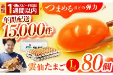【卵 スピード発送】雲仙たまご Lサイズ80個(75個＋割れ補償5個入り) 長崎県/塚ちゃん雲仙たまご村 [42ACAE003] 卵 玉子 タマゴ 鶏卵 長崎 島原 九州