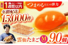 【スピード発送】雲仙たまご Mサイズ90個(85個＋割れ補償5個入り) 長崎県/塚ちゃん雲仙たまご村 [42ACAE004] 卵 玉子 タマゴ 鶏卵 長崎 島原 九州 大容量 たっぷり 