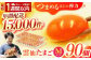長崎県産 島原市 たまご 卵 玉子 タマゴ 鶏卵 オムレツ 卵かけご飯 朝食 料理 人気 卵焼き 大容量 たっぷり