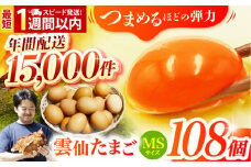 【スピード発送】雲仙たまご MSサイズ108個(100個＋割れ補償8個入り) 長崎県/塚ちゃん雲仙たまご村 [42ACAE005] 卵 玉子 タマゴ 鶏卵 長崎 島原 九州 大容量 たっぷり 