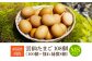 卵 玉子 タマゴ 鶏卵 長崎 島原 九州 大容量 たっぷり 