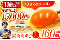 【スピード発送】Lサイズ160個(150個＋割れ補償10個入り) 長崎県/塚ちゃん雲仙たまご村 [42ACAE006] 卵 玉子 タマゴ 鶏卵 長崎 島原 九州 大容量 たっぷり 