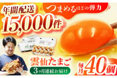 【全3回定期便】 雲仙たまご 40個(卵10個入り×4パック) 長崎県/塚ちゃん雲仙たまご村 [42ACAE011] 卵 玉子 タマゴ 鶏卵 長崎 島原 九州 3ヶ月 3か月