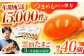 長崎県産 島原市 たまご 卵 玉子 タマゴ 鶏卵 オムレツ 卵かけご飯 朝食 料理 人気 卵焼き 定期便 3ヶ月 3か月