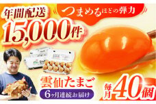 【全6回定期便】 雲仙たまご 40個(卵10個入り×4パック) 長崎県/塚ちゃん雲仙たまご村 [42ACAE012] 卵 玉子 タマゴ 鶏卵 長崎 島原 九州 6ヶ月 6か月