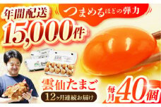 【全12回定期便】 雲仙たまご 40個(卵10個入り×4パック) 長崎県/塚ちゃん雲仙たまご村 [42ACAE013] 卵 玉子 タマゴ 鶏卵 長崎 島原 九州 12ヶ月 12か月