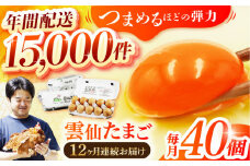 【卵 定期便 12か月】雲仙たまご 40個(10個入り×4パック) 長崎県/塚ちゃん雲仙たまご村 [42ACAE013] 玉子 タマゴ 鶏卵 長崎 島原 九州 12ヶ月 12回 1年