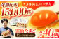 12回 定期便 たまご 卵 玉子 タマゴ 鶏卵 オムレツ 卵かけご飯 朝食 料理 人気 卵焼き 定期便 12ヶ月 12か月
