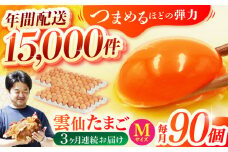 【全3回定期便】雲仙たまご Mサイズ90個(85個＋割れ補償5個入り) 長崎県/塚ちゃん雲仙たまご村 [42ACAE020] 卵 玉子 タマゴ 鶏卵 長崎 島原 九州 3ヶ月 3か月
