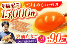【全6回定期便】雲仙たまご Mサイズ90個(85個＋割れ補償5個入り) 長崎県/塚ちゃん雲仙たまご村 [42ACAE021] 卵 玉子 タマゴ 鶏卵 長崎 島原 九州 6ヶ月 6か月