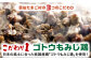 長崎県産 島原市 焼き鳥 地鶏 炭火焼 モモ肉 もも肉 ムネ肉 むね肉 焼肉 簡単調理 お手軽 料理 人気 