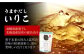 長崎 出汁 だし ダシ セット あご いりこ かつお 昆布 料理 パック