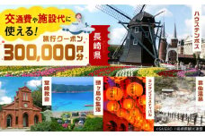【長崎県】 日本旅行 地域限定旅行クーポン300,000円分 長崎県/株式会社日本旅行 [42AVAG006] ハウステンボス 佐世保 雲仙 五島 壱岐 対馬 宿泊 ホテル 旅 観光 宿泊券 離島