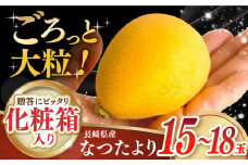 【先行予約】＜5月～発送＞長崎びわ「なつたより」15玉～18玉入り 長崎県/長崎果匠 [42AABK004] びわ ビワ 大玉 フルーツ