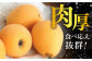 びわ ビワ 枇杷 果物 フルーツ なつたより 果実 長崎県産 国産
