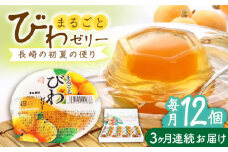 【全3回定期便】まるごとびわゼリー 12個入 長崎県/長崎県農協直販 [42ZZAA229] ゼリー びわ ビワ 枇杷 まるごと 定期便 長崎