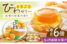 【全6回定期便】まるごとびわゼリー 6個入 長崎県/長崎県農協直販 [42ZZAA236] ゼリー びわ ビワ 枇杷 まるごと 定期便 長崎