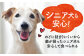 ソフトビッツ ドッグ フード いぬ 犬 イヌ おやつ ペット 乳酸菌 国産 果物 くだもの シニア 幼犬 老犬 小分け 小型犬