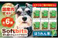 ソフトビッツ ドッグ フード いぬ 犬 イヌ おやつ ペット 乳酸菌 国産 ほうれん草 ホウレンソウ ホウレン草