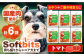 ソフトビッツ ドッグ フード いぬ 犬 イヌ おやつ ペット乳酸菌 国産 とまと トマト シニア 幼犬 老犬 
