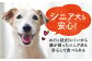ソフトビッツ ドッグ フード いぬ 犬 イヌ おやつ フード ペット 乳酸菌 国産 さつまいも サツマイモ シニア