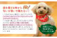 ソフトビッツ ドッグ フード いぬ 犬 イヌ おやつ ペット 乳酸菌 国産 やさい 野菜 ミックス シニア 幼犬 老犬 小分け