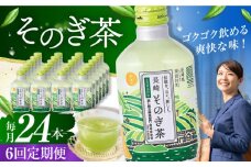 【全6回定期便】そのぎ茶 290ml×24本 長崎県/長崎県農協直販 [42ZZAA194] 缶 ドリンク 飲料 茶 お茶 おちゃ 飲み物 長崎県産	
