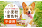 華味鳥 ドッグ フード いぬ 犬 イヌ おやつ ペット乳酸菌 国産 鶏 鳥 肉 シニア 幼犬 老犬 小分け