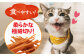 キャット フード ねこ ネコ 猫 おやつ ペット 乳酸菌 国産 鶏 鳥 鶏肉 鳥肉 ささみ ササミ ささ身 笹身 シニア 幼猫