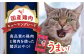 キャット フード ねこ ネコ 猫 おやつ ペット 乳酸菌 国産 鶏 鳥 肉 ささみ ササミ ささ身 笹身 いのしし イノシシ