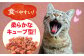 キャット フード ねこ ネコ 猫 おやつ ペット 乳酸菌 国産 鶏 鳥 肉 ささみ ササミ ささ身 笹身 いのしし イノシシ