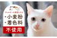 キャット フード ねこ ネコ 猫 おやつ ペット 乳酸菌 国産 鶏 鳥 肉 ささみ ササミ ささ身 笹身 いのしし イノシシ