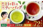 お茶 緑茶 和紅茶 玄米茶 ほうじ茶 飲料 長崎 ティーバッグ