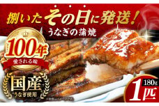 国産うなぎの蒲焼 1匹 長崎県/入口屋 [42AKAB001] ウナギ うなぎ 鰻 タレ付き 老舗 国内産 国産 土用丑の日 うな重 鰻重 グルメ 西海 長崎 入口屋 長崎県 蒲焼 かば焼き 蒲焼き