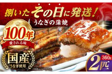 国産うなぎの蒲焼 2匹 長崎県/入口屋 [42AKAB002] ウナギ うなぎ 鰻 タレ付き 老舗 国内産 国産 土用丑の日 うな重 鰻重 グルメ 西海 長崎 入口屋 長崎県 蒲焼 かば焼き 蒲焼き