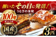 国産うなぎの蒲焼 3匹 長崎県/入口屋 [42AKAB003] ウナギ うなぎ 鰻 タレ付き 老舗 国内産 国産 土用丑の日 うな重 鰻重 グルメ 西海 長崎 入口屋 長崎県 蒲焼 かば焼き 蒲焼き