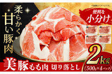 美豚のもも肉切落し（500g×4パック） 長崎県/有限会社長崎フードサービス [42ADAB017] 