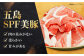 肉 にく 精肉 美豚 豚肉 もも肉 切り落とし 国産 長崎県 ながさき 長崎 小分け 