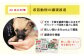 長崎  動物 犬 猫 いぬ ねこ イヌ ネコ 保護犬 保護猫 支援 応援  寄付のみ 2000円