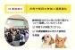 長崎  動物 犬 猫 いぬ ねこ イヌ ネコ 保護犬 保護猫 支援 応援  寄付のみ 2000円