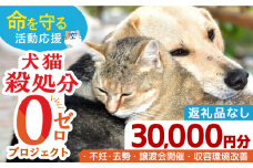【お礼の品なし】犬猫殺処分ゼロプロジェクト＜30,000円＞長崎県ふるさと納税[42ZZAE004]長崎 長崎の変 動物 犬 猫 いぬ ねこ イヌ ネコ 保護犬 保護猫 支援 応援 チョイス限定 動物愛護 保護 どうぶつ 地域猫 寄付のみ