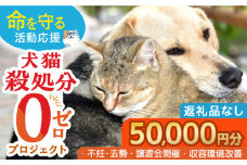 【お礼の品なし】犬猫殺処分ゼロプロジェクト＜50,000円＞長崎県ふるさと納税[42ZZAE005]長崎 長崎の変 動物 犬 猫 いぬ ねこ イヌ ネコ 保護犬 保護猫 支援 応援 チョイス限定 動物愛護 保護 どうぶつ 地域猫 寄付のみ