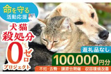 【お礼の品なし】犬猫殺処分ゼロプロジェクト＜100,000円＞長崎県ふるさと納税[42ZZAE006]長崎 長崎の変 動物 犬 猫 いぬ ねこ イヌ ネコ 保護犬 保護猫 支援 応援 チョイス限定 動物愛護 保護 どうぶつ 地域猫 寄付のみ